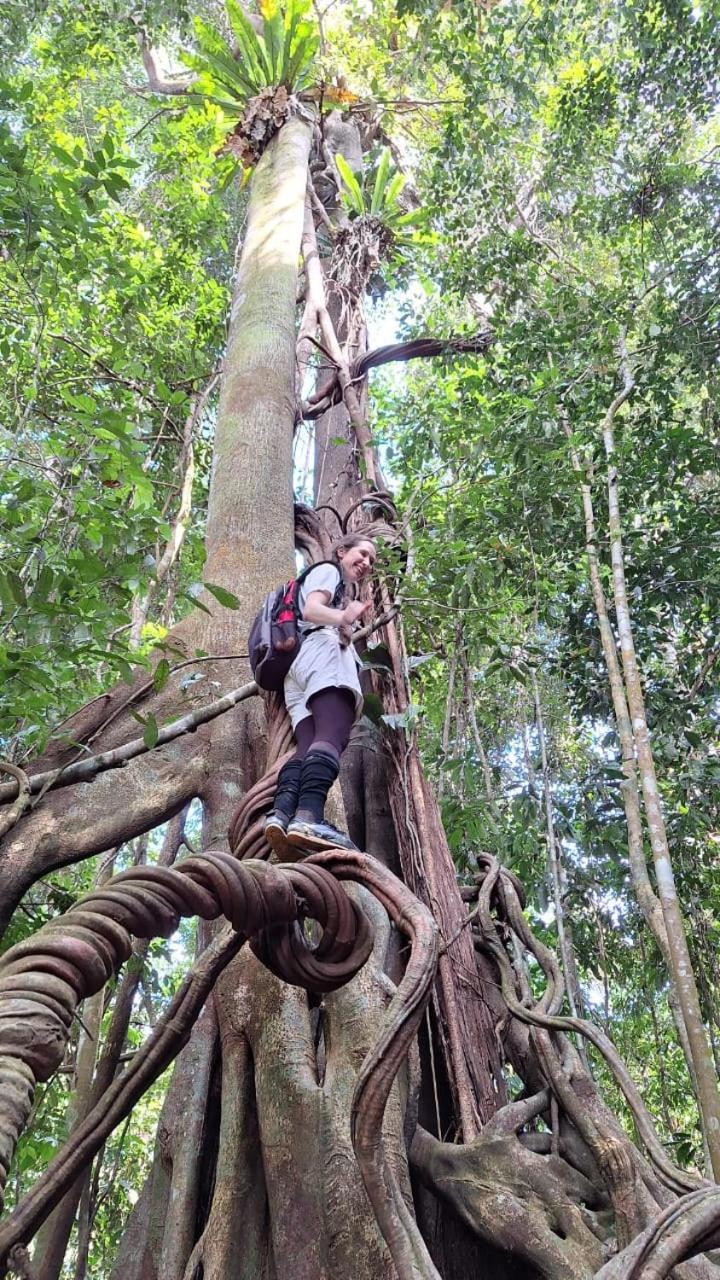 Batu Kapal Guest House & Jungle Trekking Bukit Lawang Luaran gambar