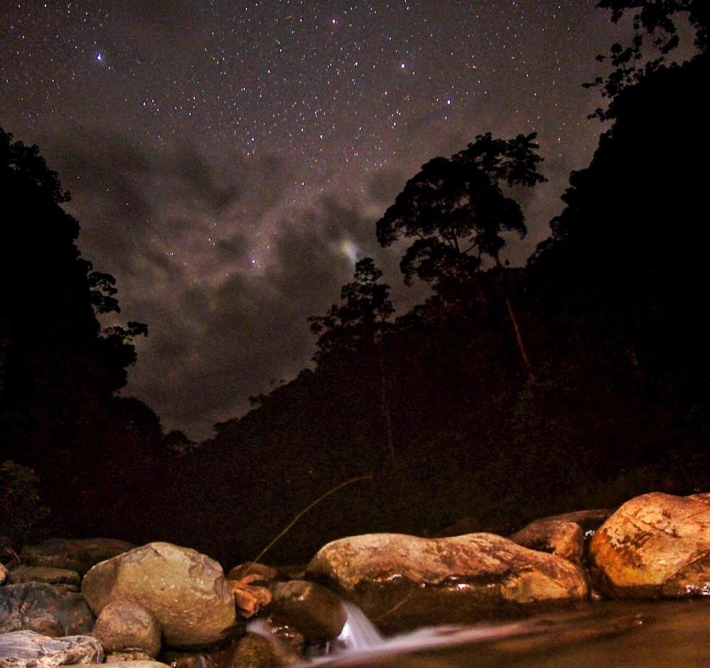 Batu Kapal Guest House & Jungle Trekking Bukit Lawang Luaran gambar