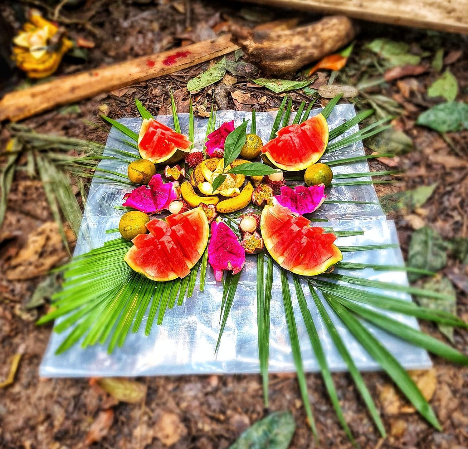 Batu Kapal Guest House & Jungle Trekking Bukit Lawang Luaran gambar