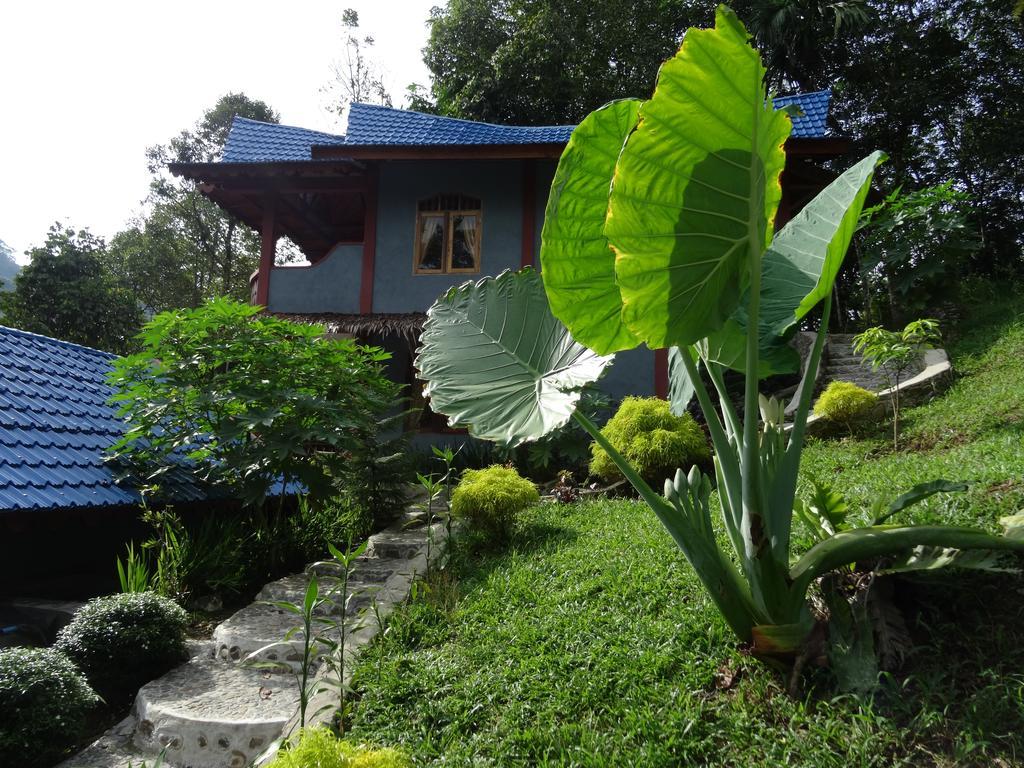 Batu Kapal Guest House & Jungle Trekking Bukit Lawang Luaran gambar