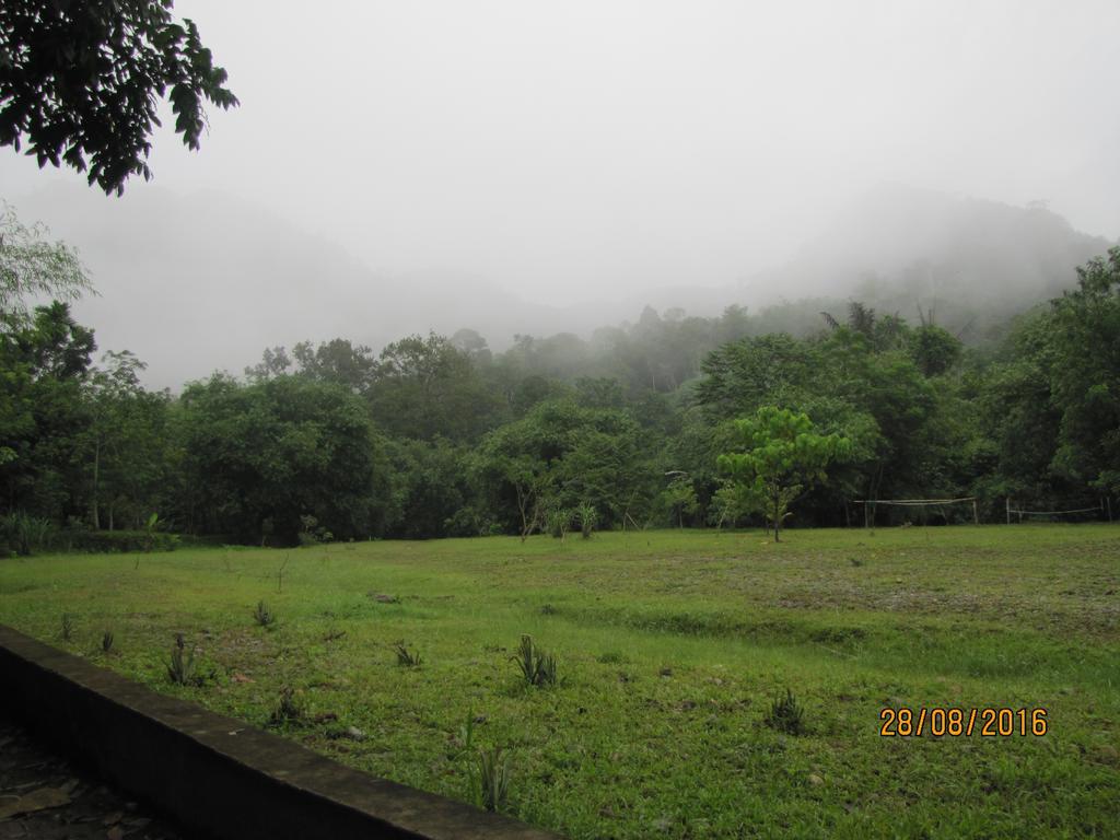 Batu Kapal Guest House & Jungle Trekking Bukit Lawang Luaran gambar