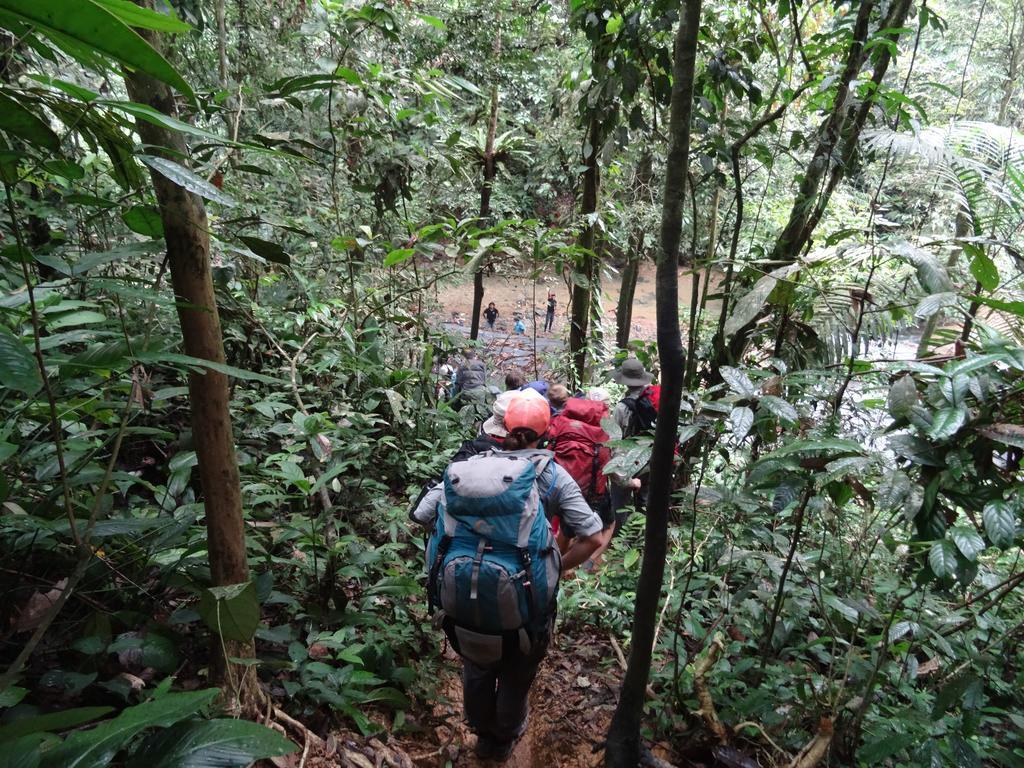 Batu Kapal Guest House & Jungle Trekking Bukit Lawang Luaran gambar