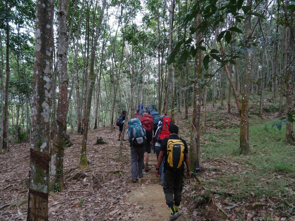 Batu Kapal Guest House & Jungle Trekking Bukit Lawang Luaran gambar