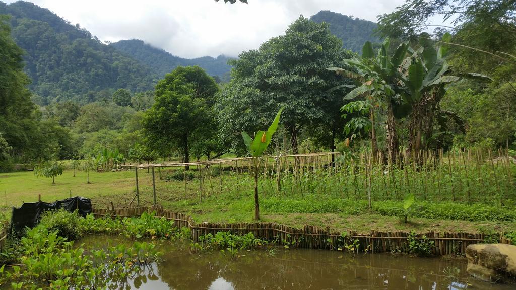 Batu Kapal Guest House & Jungle Trekking Bukit Lawang Luaran gambar