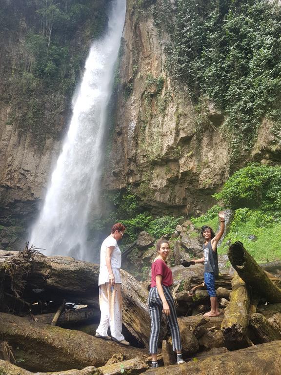 Batu Kapal Guest House & Jungle Trekking Bukit Lawang Luaran gambar