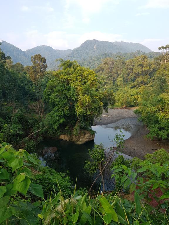 Batu Kapal Guest House & Jungle Trekking Bukit Lawang Luaran gambar